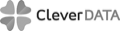 CleverDATA